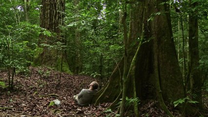 Bande-annonce : Il Etait une Forêt - Teaser VF