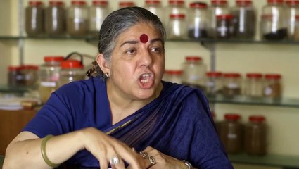 O Verdadeiro Custo Parte 2