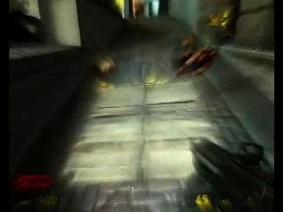 Half-Life_Barbecue