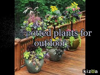 Steps to a Successful Home Staging