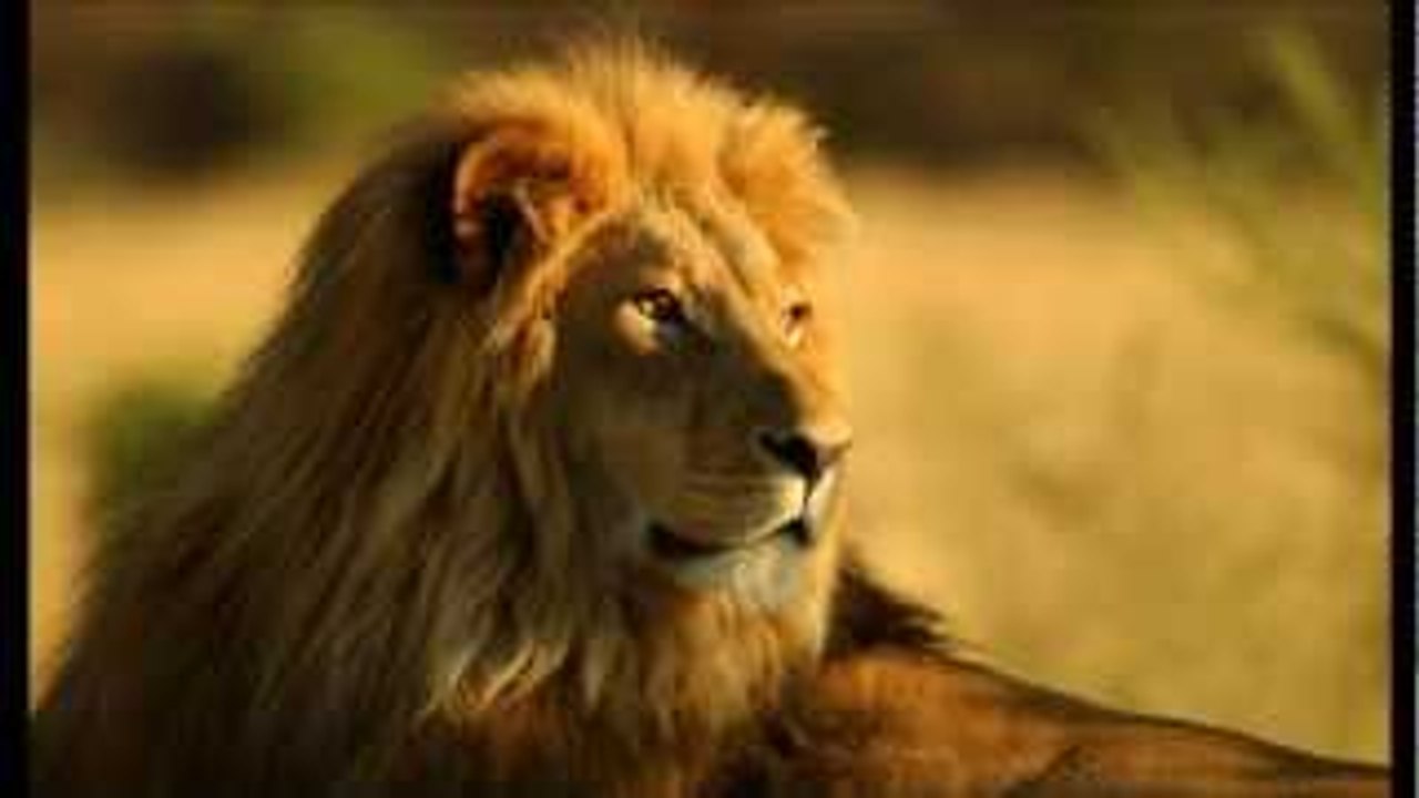 Beautiful African Relaxation Music with Nature Sounds