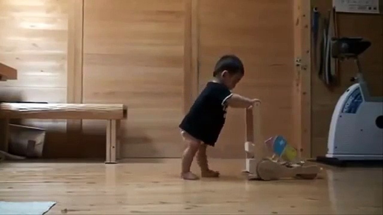 Professor do gato. Bebê engraçado gato aprende a andar com um andador