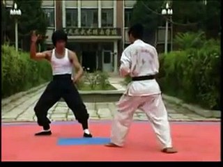 ---Triet quyen dao - Ly Tieu Long video 12
