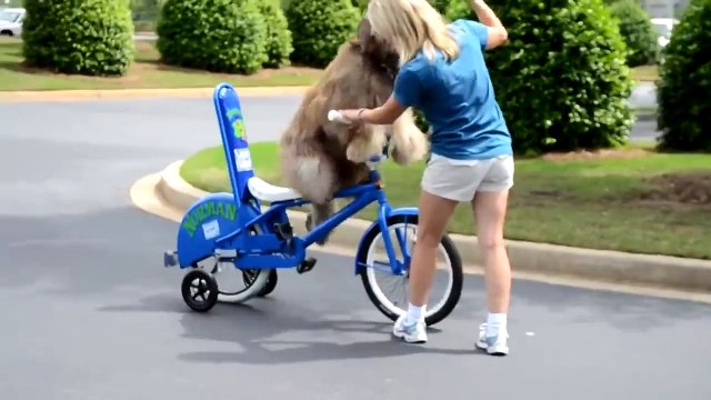 Уникальный пёс