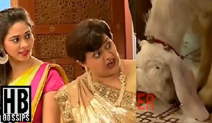Saath Nibhana Saathiya Urmila Gets Scared From GOAT & SCREAMED 26th October 2015