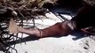 Dead Mermaid Found On Beach After Hurricane