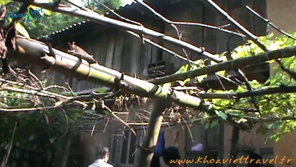 Visite du Village Thien Huong à Dong Van