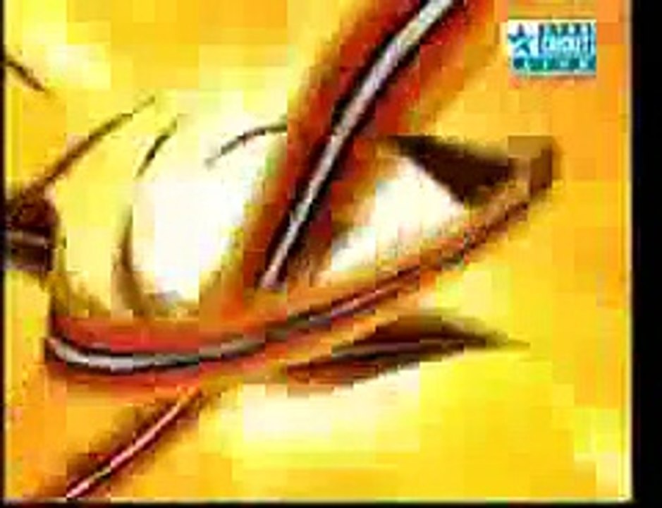 cricket funny moments - dhoni
