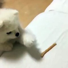 Me trying to reach goals