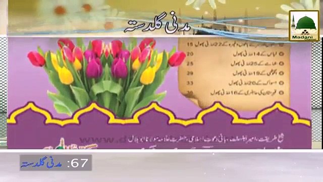 Pani Peenay Kay Adaab-Haji Ubaid Attari - Madani Guldasta 67