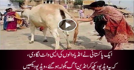 Pakistani Singer Troubled Indians By Singing This Song