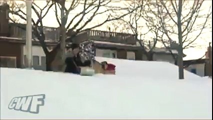 Crazy dog sledging