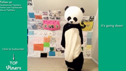 Panderz Vine Compilation with Titles! - BEST Panderz Vines - Top Viners ✔