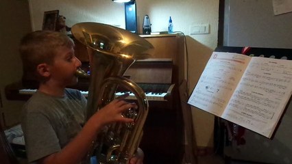 La Marmotte de Beethoven