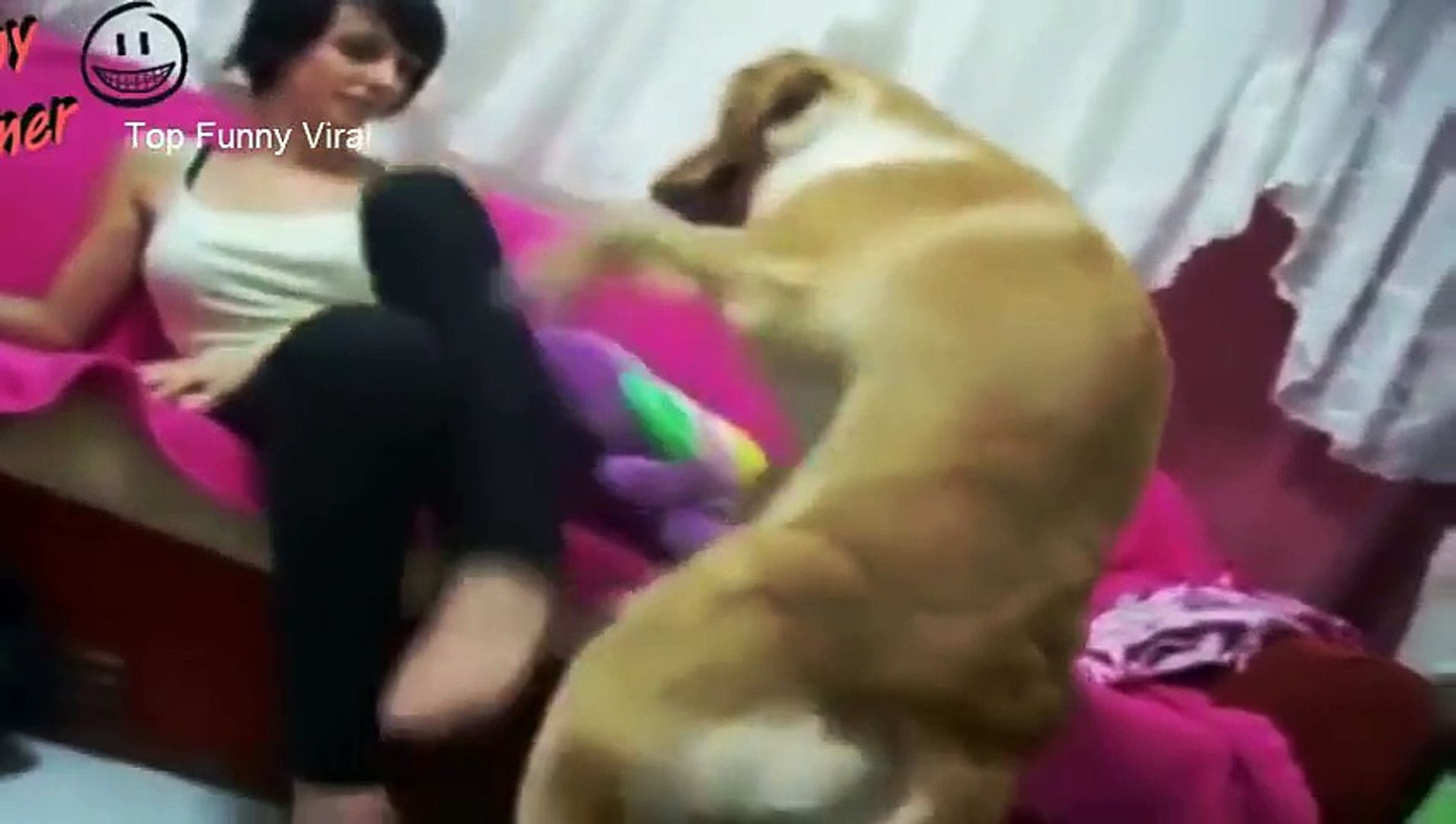 Human sexing with animals