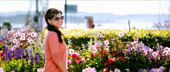 I'm So Cool | Kakki Sattai | Sivakartikeyan Sri Divya | Full Song HD