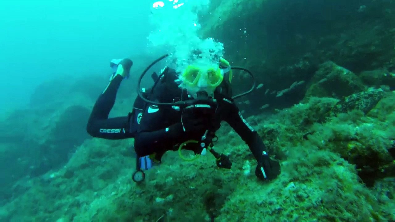 Plongée Tombant Est Gabinière- Cyana Plongée Hyeres