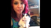 Funny Cats Compilation 2015 - Funny Cats Eating - Ultimate Cat Vines Compilation 2015