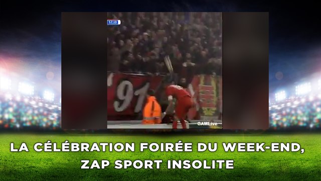 La célébration foirée du week-end, zap sport insolite