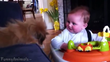 Funny Cute Dogs and Cats Love Babies | Best Funniest Video 2015 子供達