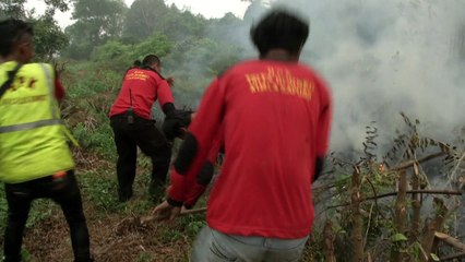 Volunteers scramble to douse Indonesian fires