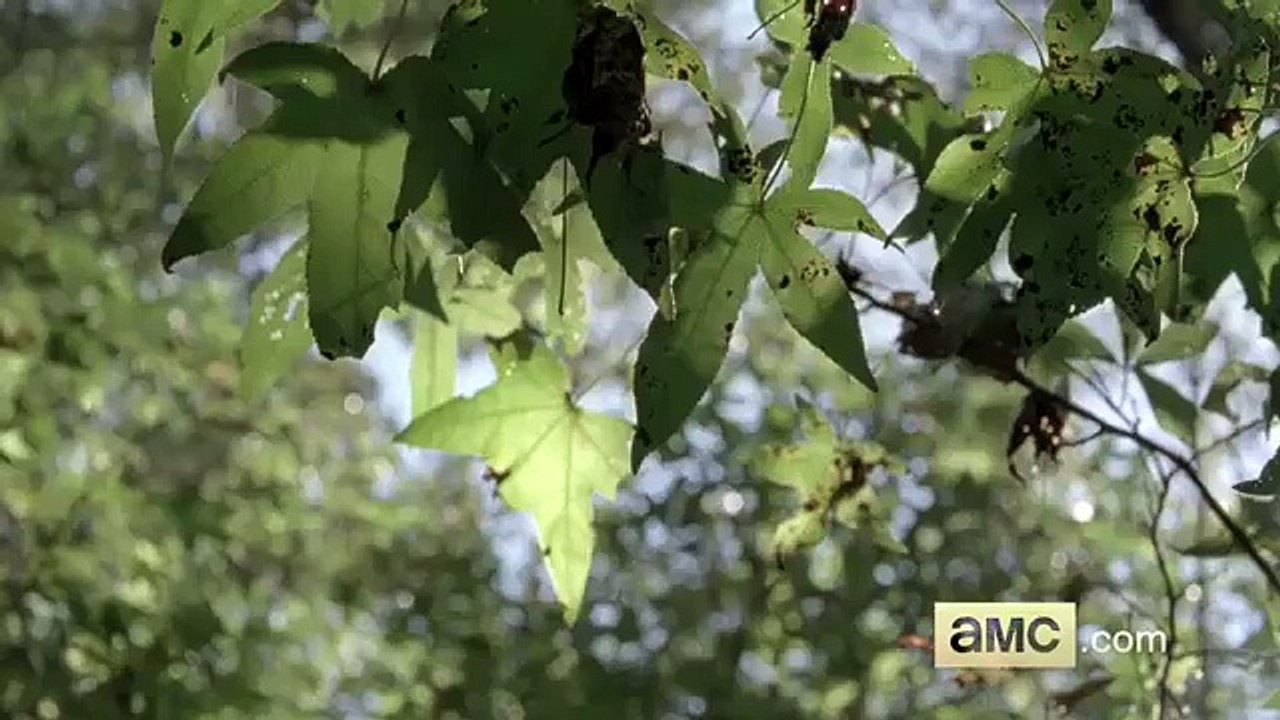 The Walking Dead Saison 6 (sneak peek / extrait épisode 4 - Here's Not Here - VOSTFR)