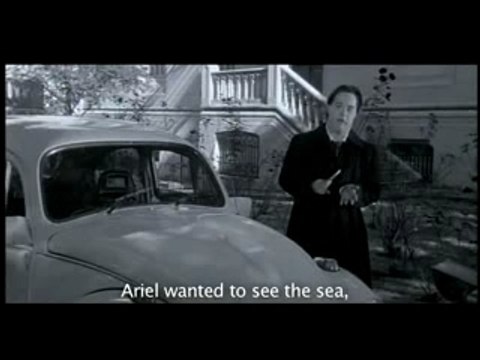 Colegas sem final gata