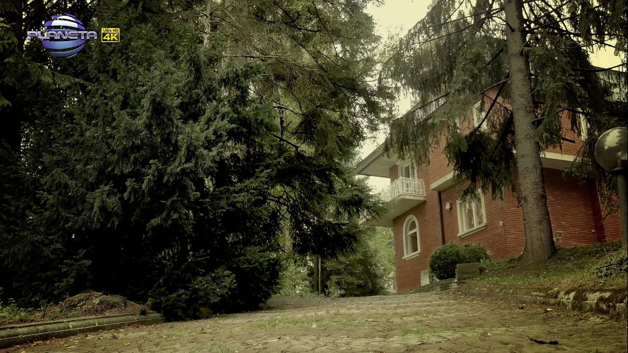 DZHENA - TI KADE BESHE   Джена - Ти къде беше, 2015