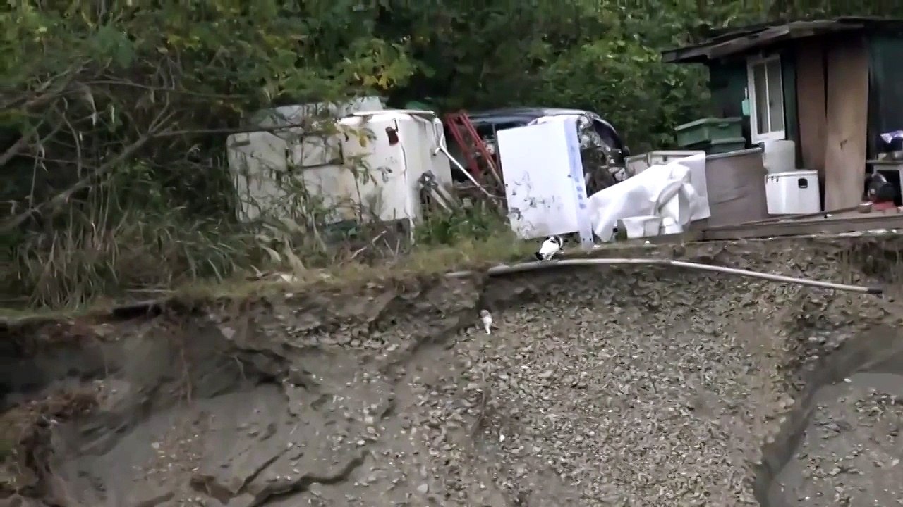 Мама-кошка увидела, что ее котенок упал в яму