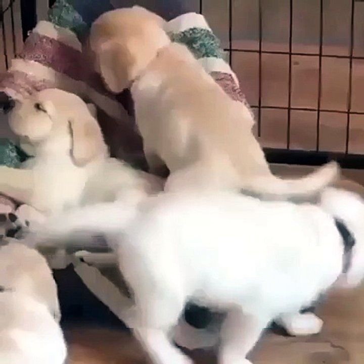 This Is How We Snuggle