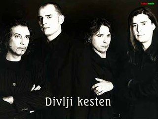 Divlji Kesten - Kristina