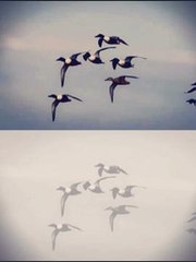 Vos dernières photos d'Octobre