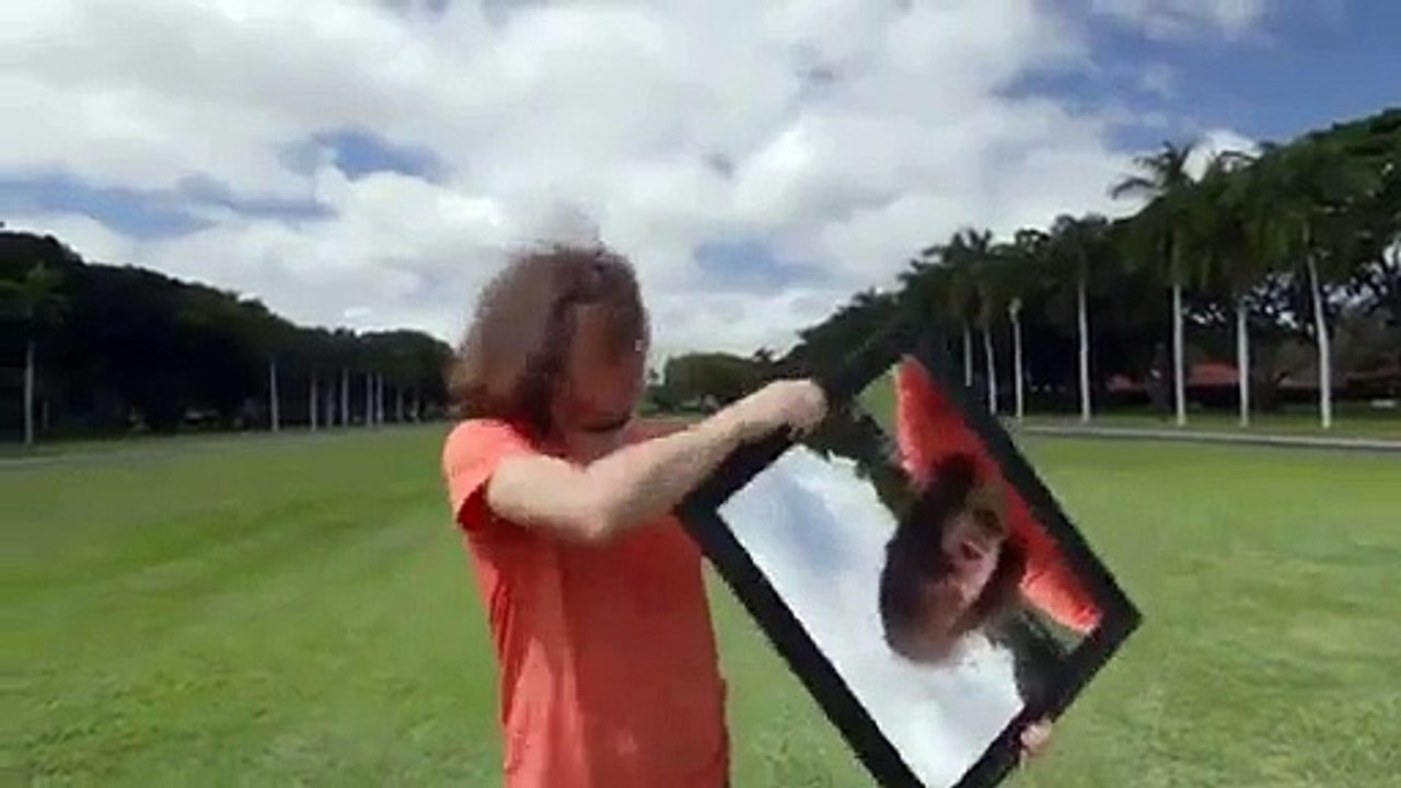 İlginç bir reklam olmuş - Funny videos - Komik videolar