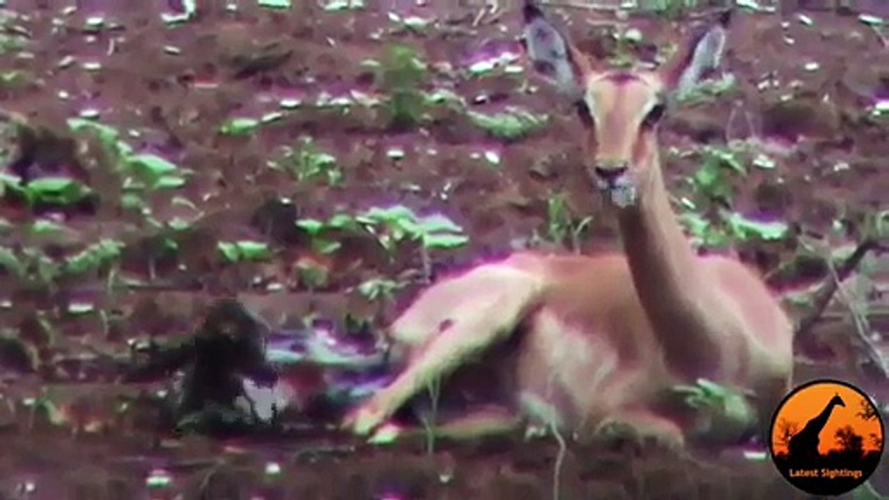 İmama deprem şakası yapılırsa - Funny videos - Komik videolar