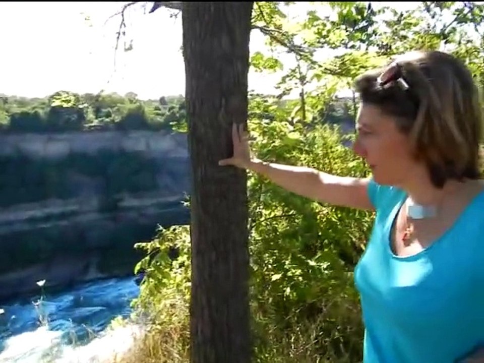 2015 - 07 - Canada - Ontario - Rivière et chutes du Niagara