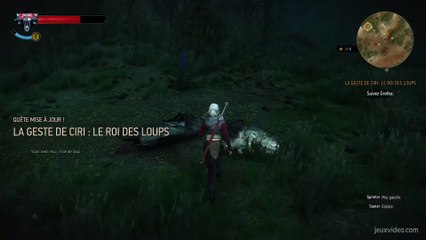 La Geste de Ciri  Le Roi des Loups2