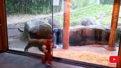 Funny animals videos Funny Animal Mating to Humans Animals Mating with Human Dog mating with Human