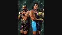 The Steiner Brothers Wcw Theme