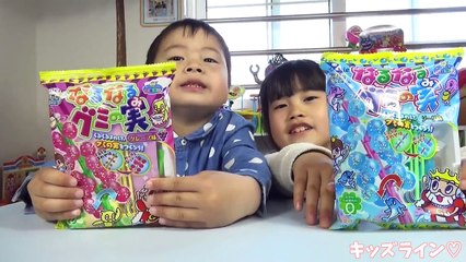 なるなるグミの実 グレープ味・ソーダ味 クラシエ 食玩 知育菓子