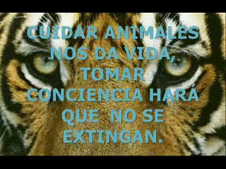 Instituto Gral. José María Paz