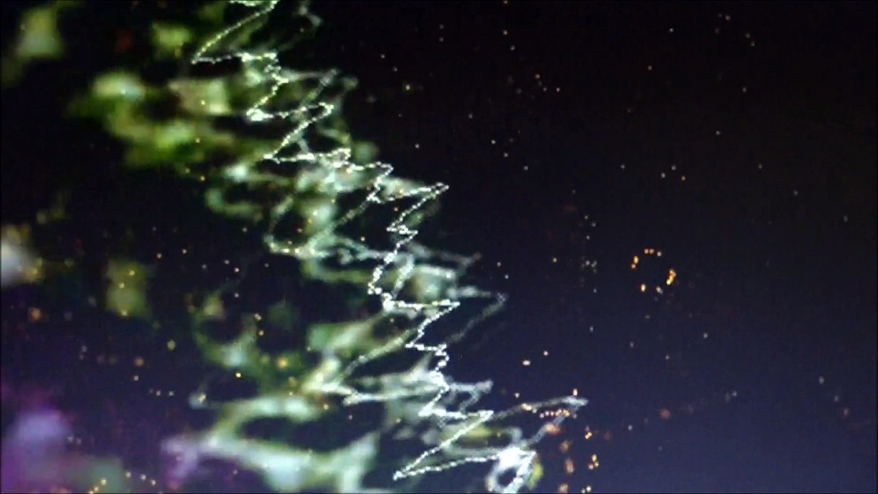 「最後の涙」　松山千春