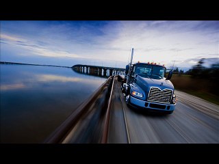 David & Goliath - full service moving services in USA