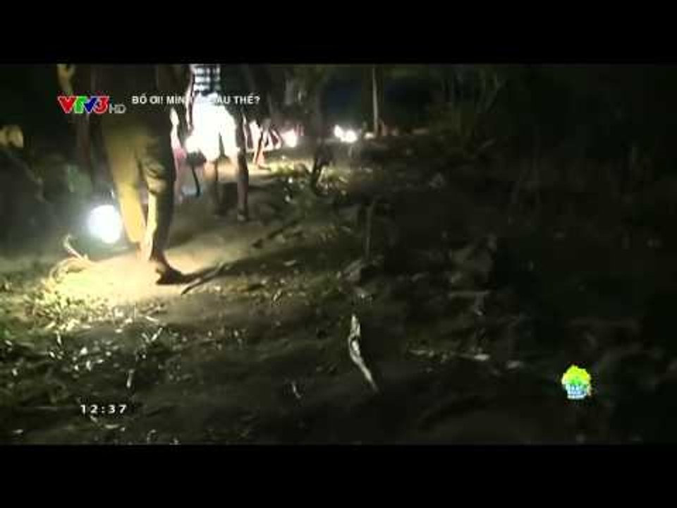 BI CẮM MẶT VÀO BÃI PHÂN TRÂU | BỐ ƠI MÌNH ĐI ĐÂU THẾ (SEASON 2)