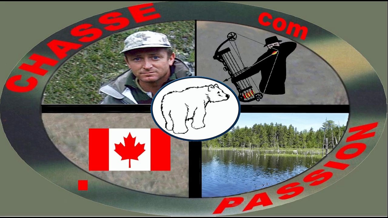 chasse a l'arc ours noir en ALBERTA