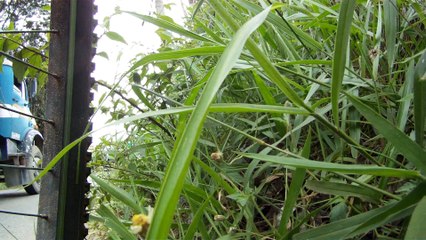 Trilhas de mountain bike, Taubaté, SP, Brasil, vale do Paraíba, com os 30 bikers, Mtb, 2015