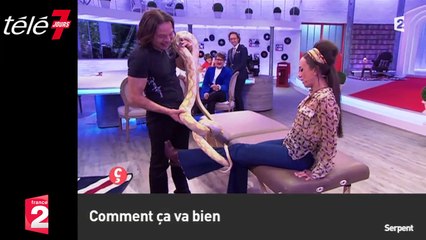 Le zapping du 26/10 : Insolite : le massage avec un serpent