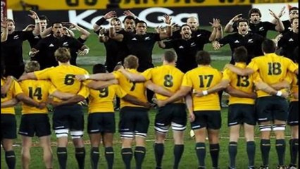 ---All Blacks vs wallabies Update news,Prediction,Live News Stream