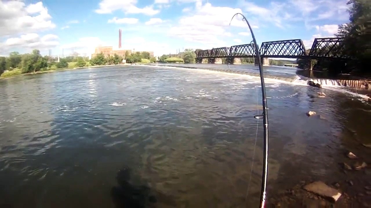 Bait Fishing #107 - Big Channel Catfish River Fishing (32.5, 32) with Cut Bait