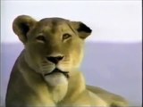 [BBC DOCUMENTARY] Crater Lions of Ngorongoro African Animals Wildlife Documentary Full Doc