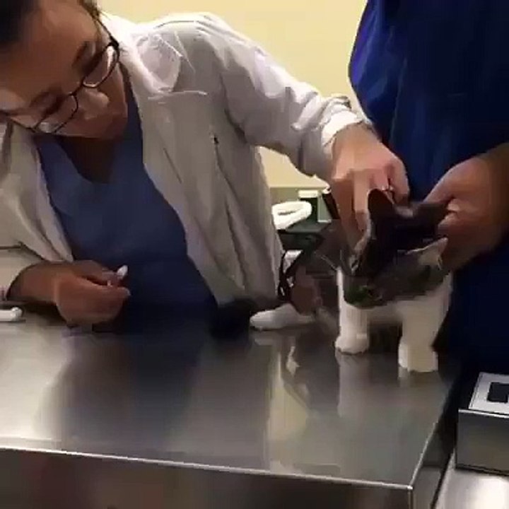 N'aie pas peur, mon pote, je suis ici avec toi